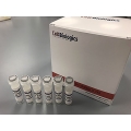 Chemical senescence β-Galactosidase Activity Assay Kit