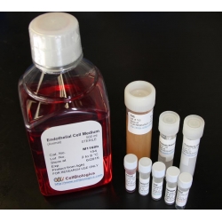 Complete Human Epithelial Cell Medium /w Kit – 500 ML