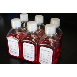 Complete Endothelial Cell Growth Medium - 500 ML Complete Endothelial Cell Growth Medium - 500 ML